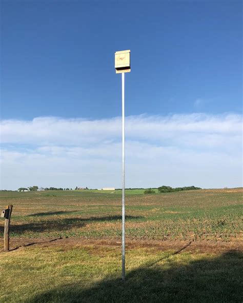 bat house with poles